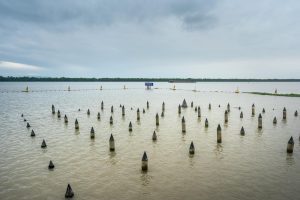 Bảng lịch sử xóc đĩa với chuỗi kết quả lặp dễ quan sát