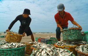 Người dùng trải nghiệm game bắn cá trên điện thoại với giao diện trực quan