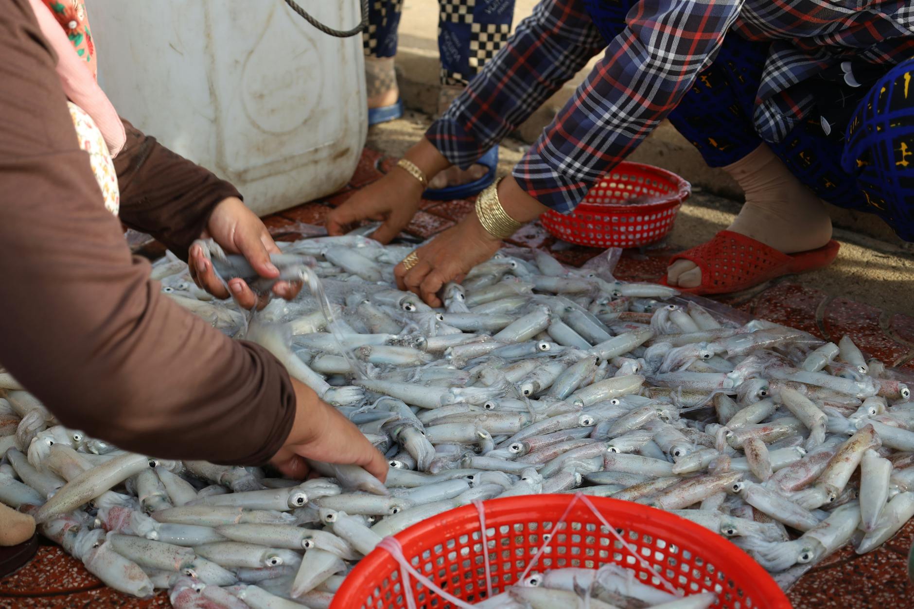 Người chơi đang quan sát mục tiêu và điều chỉnh cấp đạn trong game bắn cá