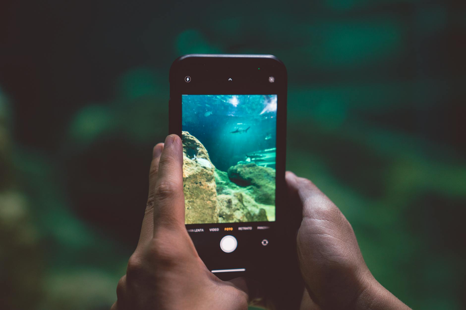 Người chơi trải nghiệm game bắn cá trên điện thoại với giao diện đại dương sinh động